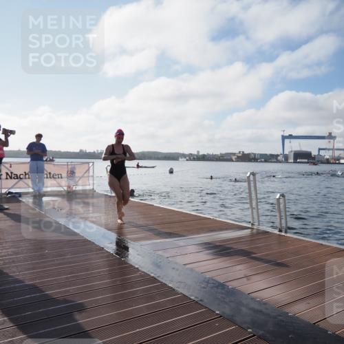 17.08.2025 - KN Förde Triathlon 2025 KatJ http://msf.ph/oto/8578860 17.08.2025 09:19:52 Schwimmen 163, 190, 195, 202, 163, 190, 202 meine-sportfotos.de