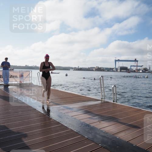 17.08.2025 - KN Förde Triathlon 2025 KatJ http://msf.ph/oto/8578868 17.08.2025 09:19:52 Schwimmen 163, 190, 195, 202, 163, 190, 202 meine-sportfotos.de