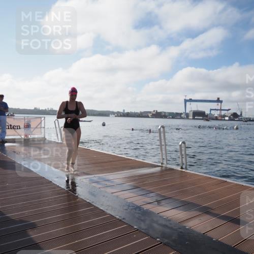 17.08.2025 - KN Förde Triathlon 2025 KatJ http://msf.ph/oto/8578871 17.08.2025 09:19:52 Schwimmen 163, 190, 195, 202, 163, 190, 202 meine-sportfotos.de