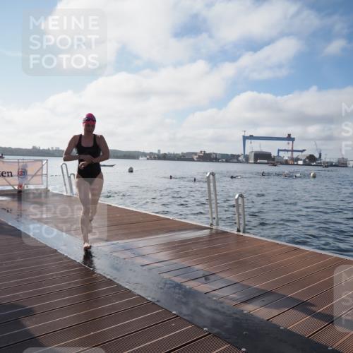 17.08.2025 - KN Förde Triathlon 2025 KatJ http://msf.ph/oto/8578875 17.08.2025 09:19:52 Schwimmen 163, 190, 195, 202, 163, 190, 202 meine-sportfotos.de