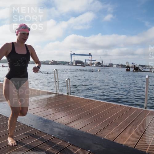 17.08.2025 - KN Förde Triathlon 2025 KatJ http://msf.ph/oto/8578897 17.08.2025 09:19:53 Schwimmen 163, 195, 202, 163, 190, 195, 202 meine-sportfotos.de