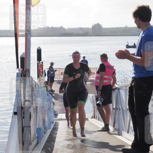 17.08.2025 - KN Förde Triathlon 2025 MichiJ http://msf.ph/oto/8578949 17.08.2025 09:16:39 Schwimmen 144, 160, 166, 144, 160, 172, 176 meine-sportfotos.de