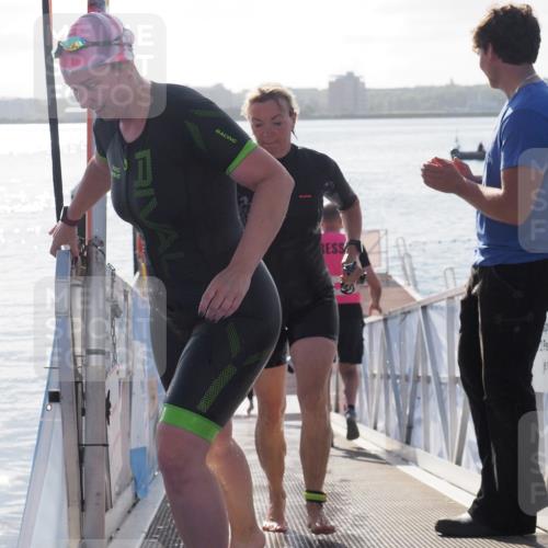 17.08.2025 - KN Förde Triathlon 2025 MichiJ http://msf.ph/oto/8579015 17.08.2025 09:16:42 Schwimmen 144, 160, 166, 172, 144, 172, 176 meine-sportfotos.de