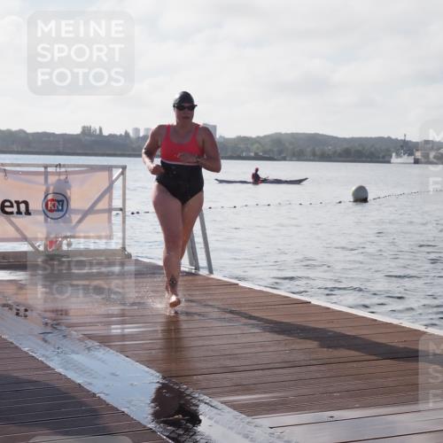 17.08.2025 - KN Förde Triathlon 2025 KatJ http://msf.ph/oto/8579112 17.08.2025 09:20:18 Schwimmen 179, 196, 211, 179, 196 meine-sportfotos.de