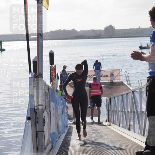 17.08.2025 - KN Förde Triathlon 2025 MichiJ http://msf.ph/oto/8579117 17.08.2025 09:16:47 Schwimmen 144, 160, 172, 176, 176 meine-sportfotos.de