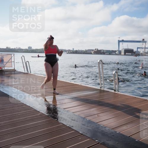 17.08.2025 - KN Förde Triathlon 2025 KatJ http://msf.ph/oto/8579137 17.08.2025 09:20:19 Schwimmen 179, 196, 211, 179, 196 meine-sportfotos.de