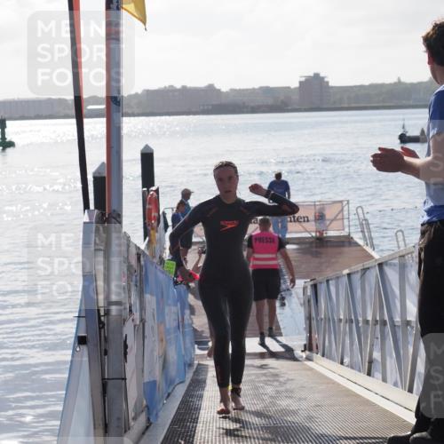17.08.2025 - KN Förde Triathlon 2025 MichiJ http://msf.ph/oto/8579140 17.08.2025 09:16:48 Schwimmen 144, 160, 172, 176, 176 meine-sportfotos.de