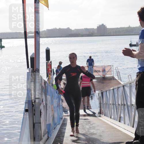 17.08.2025 - KN Förde Triathlon 2025 MichiJ http://msf.ph/oto/8579145 17.08.2025 09:16:48 Schwimmen 144, 160, 172, 176, 176 meine-sportfotos.de