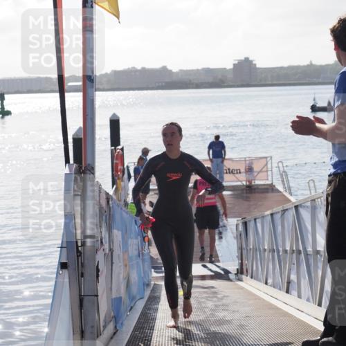 17.08.2025 - KN Förde Triathlon 2025 MichiJ http://msf.ph/oto/8579149 17.08.2025 09:16:48 Schwimmen 144, 160, 172, 176, 176 meine-sportfotos.de