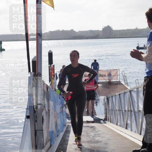 17.08.2025 - KN Förde Triathlon 2025 MichiJ http://msf.ph/oto/8579158 17.08.2025 09:16:48 Schwimmen 144, 160, 172, 176, 176 meine-sportfotos.de