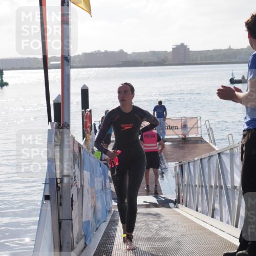 17.08.2025 - KN Förde Triathlon 2025 MichiJ http://msf.ph/oto/8579163 17.08.2025 09:16:48 Schwimmen 144, 160, 172, 176, 176 meine-sportfotos.de