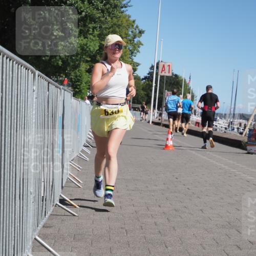17.08.2025 - KN Förde Triathlon 2025 KatJ http://msf.ph/oto/8579173 17.08.2025 12:15:42 Laufen 311, 334, 630 meine-sportfotos.de