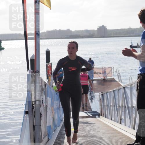 17.08.2025 - KN Förde Triathlon 2025 MichiJ http://msf.ph/oto/8579178 17.08.2025 09:16:49 Schwimmen 144, 160, 172, 176, 176 meine-sportfotos.de