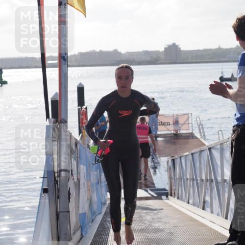 17.08.2025 - KN Förde Triathlon 2025 MichiJ http://msf.ph/oto/8579182 17.08.2025 09:16:49 Schwimmen 144, 160, 172, 176, 176 meine-sportfotos.de