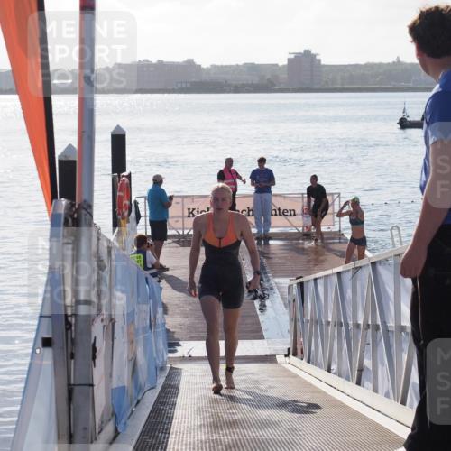 17.08.2025 - KN Förde Triathlon 2025 MichiJ http://msf.ph/oto/8579313 17.08.2025 09:17:12 Schwimmen 158, 158, 169, 204 meine-sportfotos.de