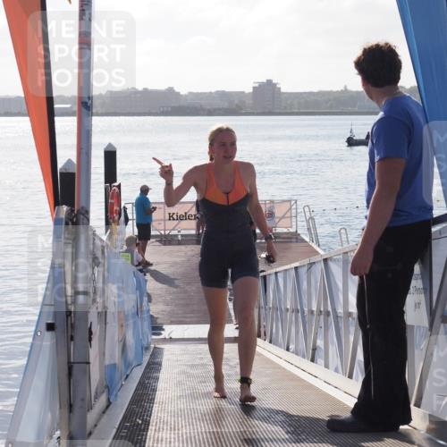 17.08.2025 - KN Förde Triathlon 2025 MichiJ http://msf.ph/oto/8579396 17.08.2025 09:17:15 Schwimmen 158, 204, 169, 204 meine-sportfotos.de