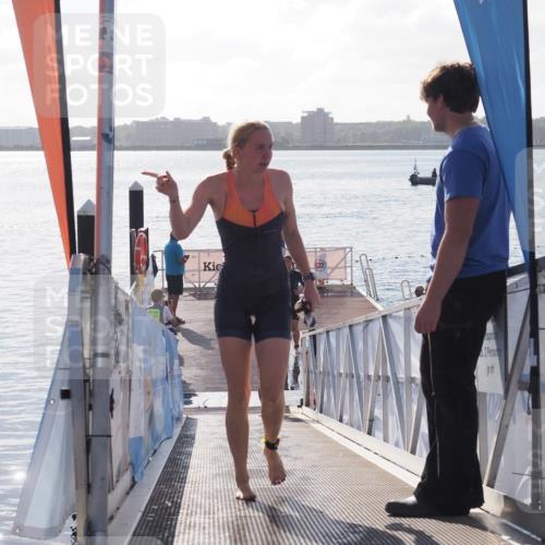 17.08.2025 - KN Förde Triathlon 2025 MichiJ http://msf.ph/oto/8579422 17.08.2025 09:17:15 Schwimmen 158, 204, 169, 204 meine-sportfotos.de