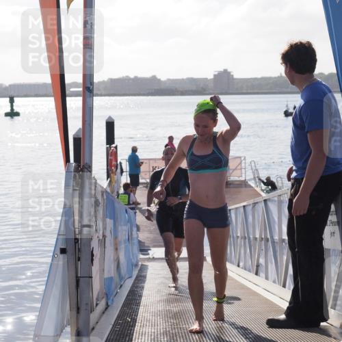 17.08.2025 - KN Förde Triathlon 2025 MichiJ http://msf.ph/oto/8579470 17.08.2025 09:17:20 Schwimmen 158, 169, 204, 169, 177, 181, 204 meine-sportfotos.de