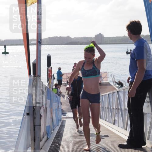 17.08.2025 - KN Förde Triathlon 2025 MichiJ http://msf.ph/oto/8579475 17.08.2025 09:17:20 Schwimmen 158, 169, 204, 169, 177, 181, 204 meine-sportfotos.de