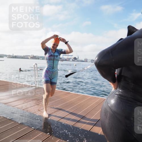 17.08.2025 - KN Förde Triathlon 2025 KatJ http://msf.ph/oto/8579651 17.08.2025 09:21:02 Schwimmen 200, 205, 216, 223, 197, 200, 205, 216, 223 meine-sportfotos.de