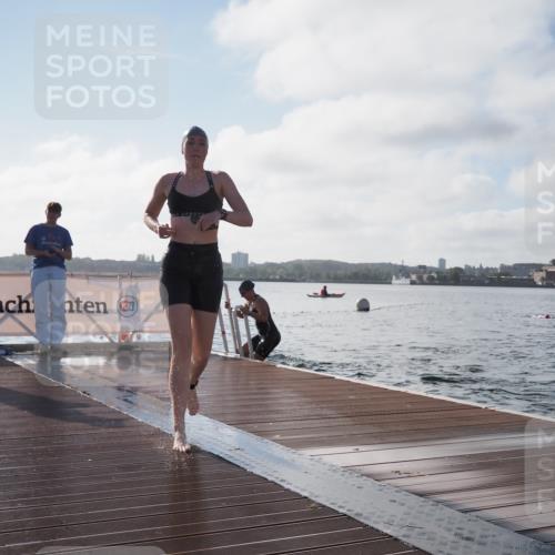 17.08.2025 - KN Förde Triathlon 2025 KatJ http://msf.ph/oto/8579742 17.08.2025 09:21:20 Schwimmen 171, 194, 201, 171, 201 meine-sportfotos.de