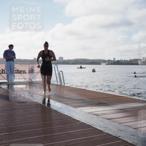 17.08.2025 - KN Förde Triathlon 2025 KatJ http://msf.ph/oto/8579779 17.08.2025 09:21:24 Schwimmen 171, 194, 201, 230, 171, 194, 201, 230 meine-sportfotos.de