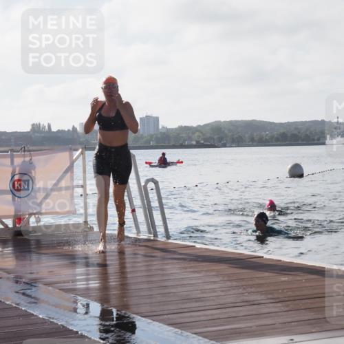 17.08.2025 - KN Förde Triathlon 2025 KatJ http://msf.ph/oto/8579877 17.08.2025 09:21:46 Schwimmen 212, 244, 244 meine-sportfotos.de