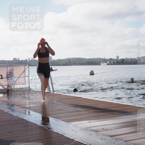 17.08.2025 - KN Förde Triathlon 2025 KatJ http://msf.ph/oto/8579895 17.08.2025 09:21:47 Schwimmen 212, 215, 244, 244 meine-sportfotos.de
