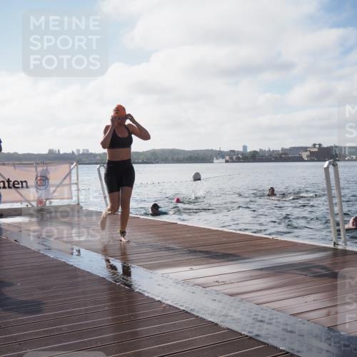 17.08.2025 - KN Förde Triathlon 2025 KatJ http://msf.ph/oto/8579902 17.08.2025 09:21:47 Schwimmen 212, 215, 244, 244 meine-sportfotos.de