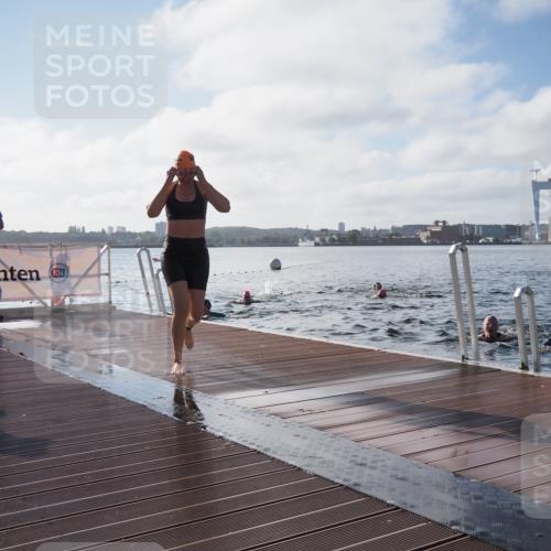 17.08.2025 - KN Förde Triathlon 2025 KatJ http://msf.ph/oto/8579910 17.08.2025 09:21:47 Schwimmen 212, 215, 244, 244 meine-sportfotos.de