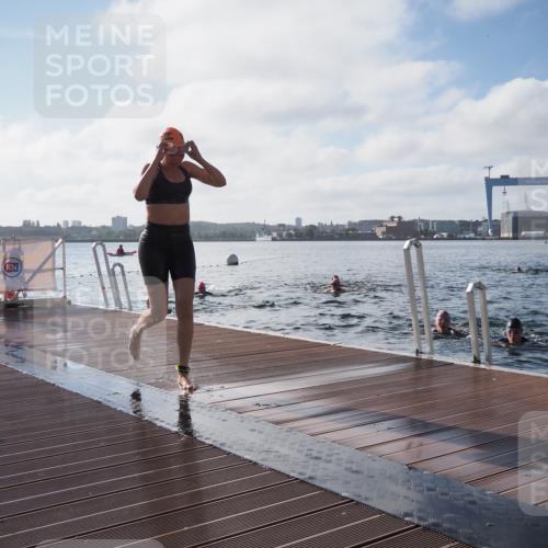 17.08.2025 - KN Förde Triathlon 2025 KatJ http://msf.ph/oto/8579917 17.08.2025 09:21:47 Schwimmen 212, 215, 244, 244 meine-sportfotos.de
