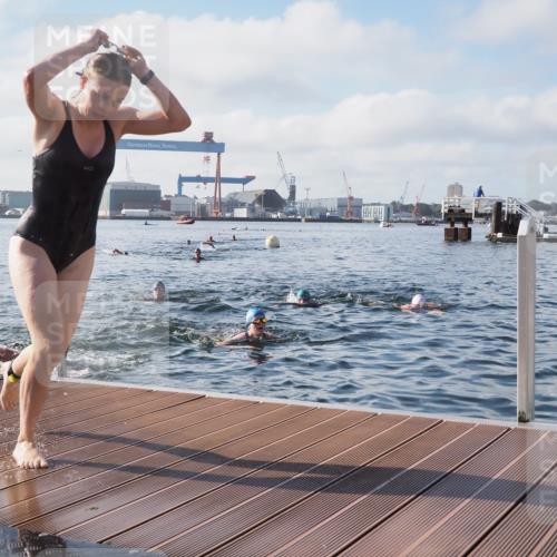 17.08.2025 - KN Förde Triathlon 2025 KatJ http://msf.ph/oto/8580186 17.08.2025 09:22:10 Schwimmen 111, 208, 210, 213, 224, 210, 213, 215, 224, 242 meine-sportfotos.de