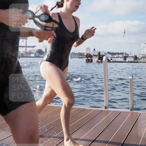 17.08.2025 - KN Förde Triathlon 2025 KatJ http://msf.ph/oto/8580202 17.08.2025 09:22:11 Schwimmen 111, 208, 210, 213, 224, 208, 210, 213, 224, 242 meine-sportfotos.de