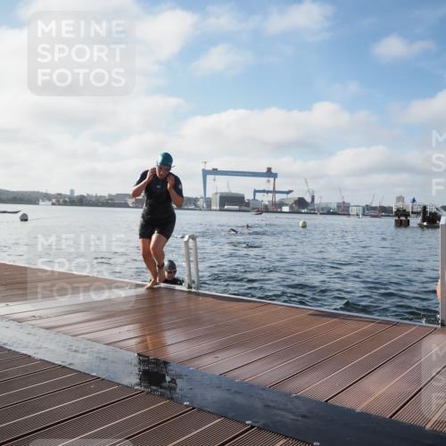 17.08.2025 - KN Förde Triathlon 2025 KatJ http://msf.ph/oto/8580376 17.08.2025 09:22:25 Schwimmen 111, 208, 221, 235, 111, 208, 221, 235 meine-sportfotos.de