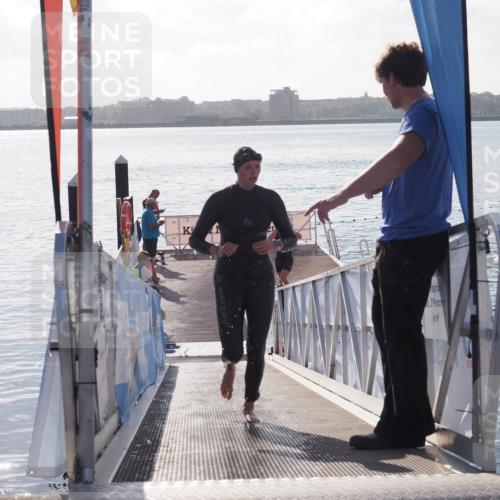 17.08.2025 - KN Förde Triathlon 2025 MichiJ http://msf.ph/oto/8580537 17.08.2025 09:18:38 Schwimmen 174, 185, 192, 153, 192, 250 meine-sportfotos.de