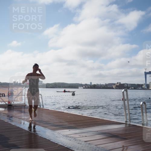 17.08.2025 - KN Förde Triathlon 2025 KatJ http://msf.ph/oto/8580589 17.08.2025 09:22:47 Schwimmen 234, 246, 249, 246, 249 meine-sportfotos.de