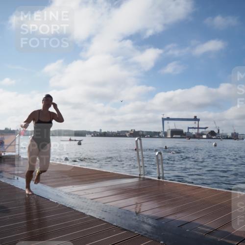 17.08.2025 - KN Förde Triathlon 2025 KatJ http://msf.ph/oto/8580610 17.08.2025 09:22:47 Schwimmen 234, 246, 249, 246, 249 meine-sportfotos.de