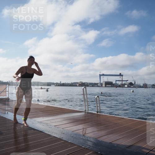 17.08.2025 - KN Förde Triathlon 2025 KatJ http://msf.ph/oto/8580613 17.08.2025 09:22:47 Schwimmen 234, 246, 249, 246, 249 meine-sportfotos.de