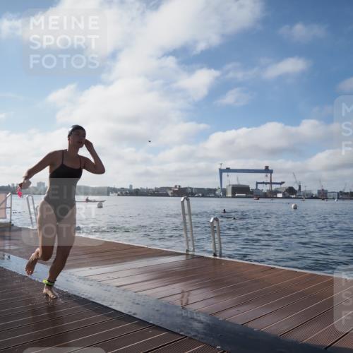 17.08.2025 - KN Förde Triathlon 2025 KatJ http://msf.ph/oto/8580616 17.08.2025 09:22:48 Schwimmen 234, 246, 249, 246, 249 meine-sportfotos.de