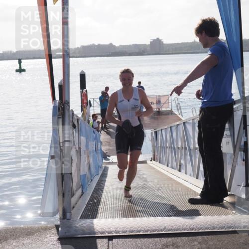 17.08.2025 - KN Förde Triathlon 2025 MichiJ http://msf.ph/oto/8580707 17.08.2025 09:18:54 Schwimmen 153, 250, 153 meine-sportfotos.de