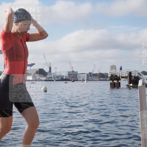 17.08.2025 - KN Förde Triathlon 2025 KatJ http://msf.ph/oto/8580809 17.08.2025 09:23:14 Schwimmen 218, 225, 237, 218, 225, 237 meine-sportfotos.de