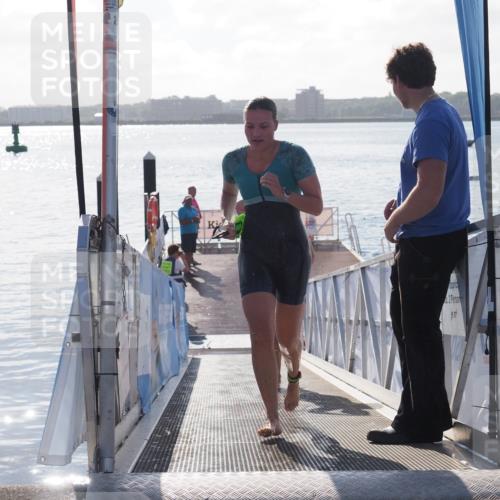 17.08.2025 - KN Förde Triathlon 2025 MichiJ http://msf.ph/oto/8580961 17.08.2025 09:19:19 Schwimmen 173, 184, 219, 220, 183, 187, 219, 220 meine-sportfotos.de