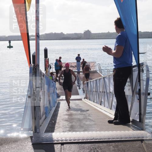 17.08.2025 - KN Förde Triathlon 2025 MichiJ http://msf.ph/oto/8581006 17.08.2025 09:19:31 Schwimmen 183, 219, 220, 183, 186, 187 meine-sportfotos.de