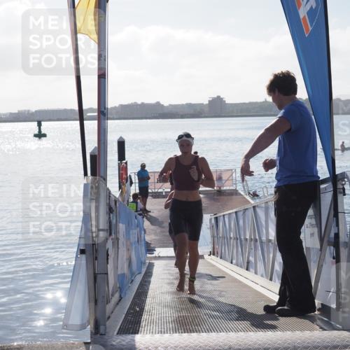 17.08.2025 - KN Förde Triathlon 2025 MichiJ http://msf.ph/oto/8581081 17.08.2025 09:19:36 Schwimmen 183, 186, 187, 186, 187, 190 meine-sportfotos.de