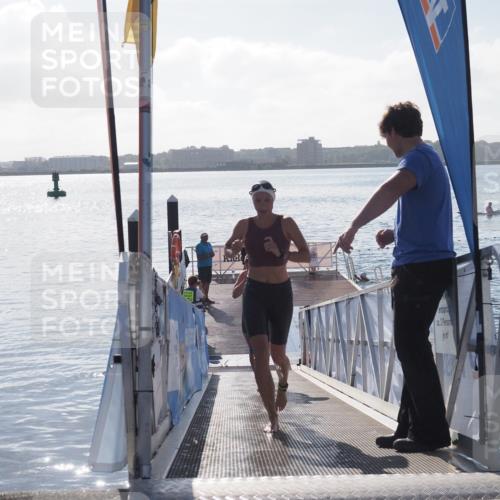 17.08.2025 - KN Förde Triathlon 2025 MichiJ http://msf.ph/oto/8581085 17.08.2025 09:19:36 Schwimmen 183, 186, 187, 186, 187, 190 meine-sportfotos.de