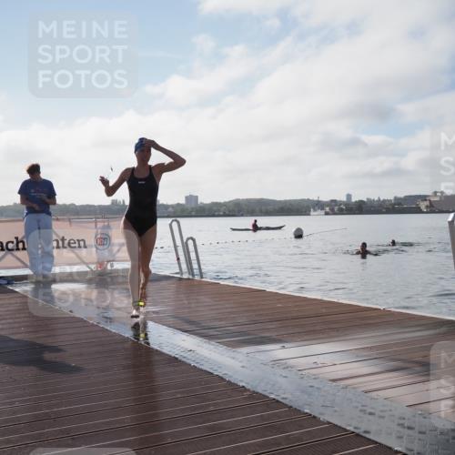 17.08.2025 - KN Förde Triathlon 2025 KatJ http://msf.ph/oto/8581135 17.08.2025 09:24:35 Schwimmen 118, 243, 118, 243 meine-sportfotos.de