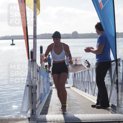 17.08.2025 - KN Förde Triathlon 2025 MichiJ http://msf.ph/oto/8581279 17.08.2025 09:19:55 Schwimmen 163, 190, 202, 163, 195, 202 meine-sportfotos.de