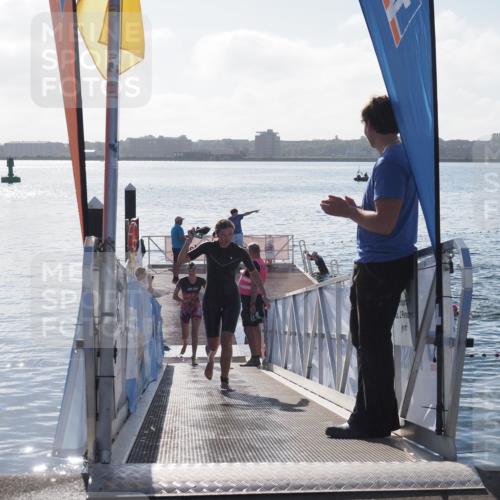 17.08.2025 - KN Förde Triathlon 2025 MichiJ http://msf.ph/oto/8581727 17.08.2025 09:20:40 Schwimmen 188, 211, 240, 188, 197, 228, 240, 241 meine-sportfotos.de