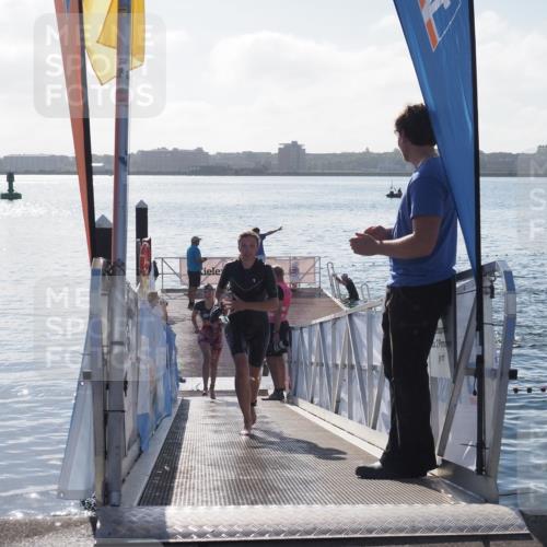 17.08.2025 - KN Förde Triathlon 2025 MichiJ http://msf.ph/oto/8581733 17.08.2025 09:20:40 Schwimmen 188, 211, 240, 188, 197, 228, 240, 241 meine-sportfotos.de