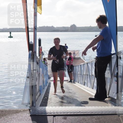 17.08.2025 - KN Förde Triathlon 2025 MichiJ http://msf.ph/oto/8581796 17.08.2025 09:20:45 Schwimmen 188, 211, 240, 241, 188, 197, 205, 228, 241 meine-sportfotos.de